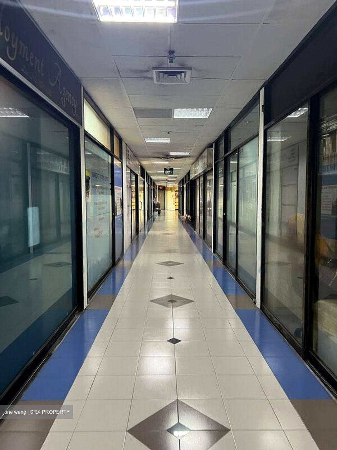 Bukit Timah Shopping Centre (D21), Shop House #462652311